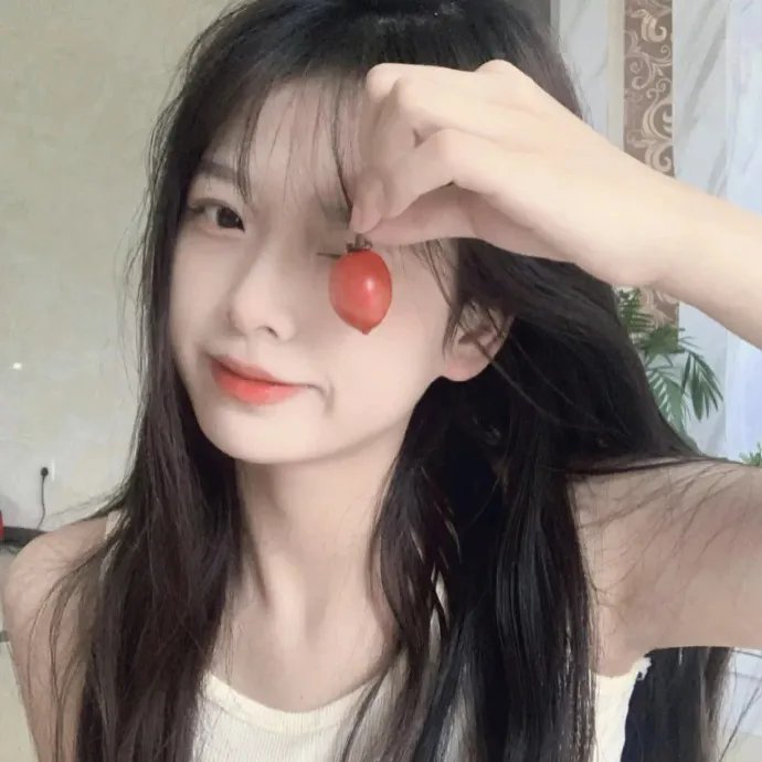 壳中少女:压缩