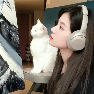 枪影世界